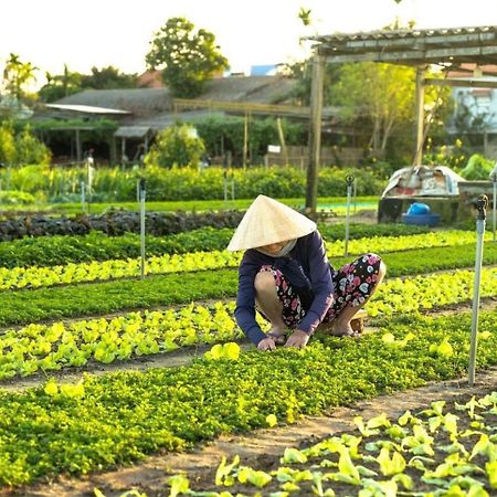 Apartamento Hoi An Cabbage Garden Exterior foto