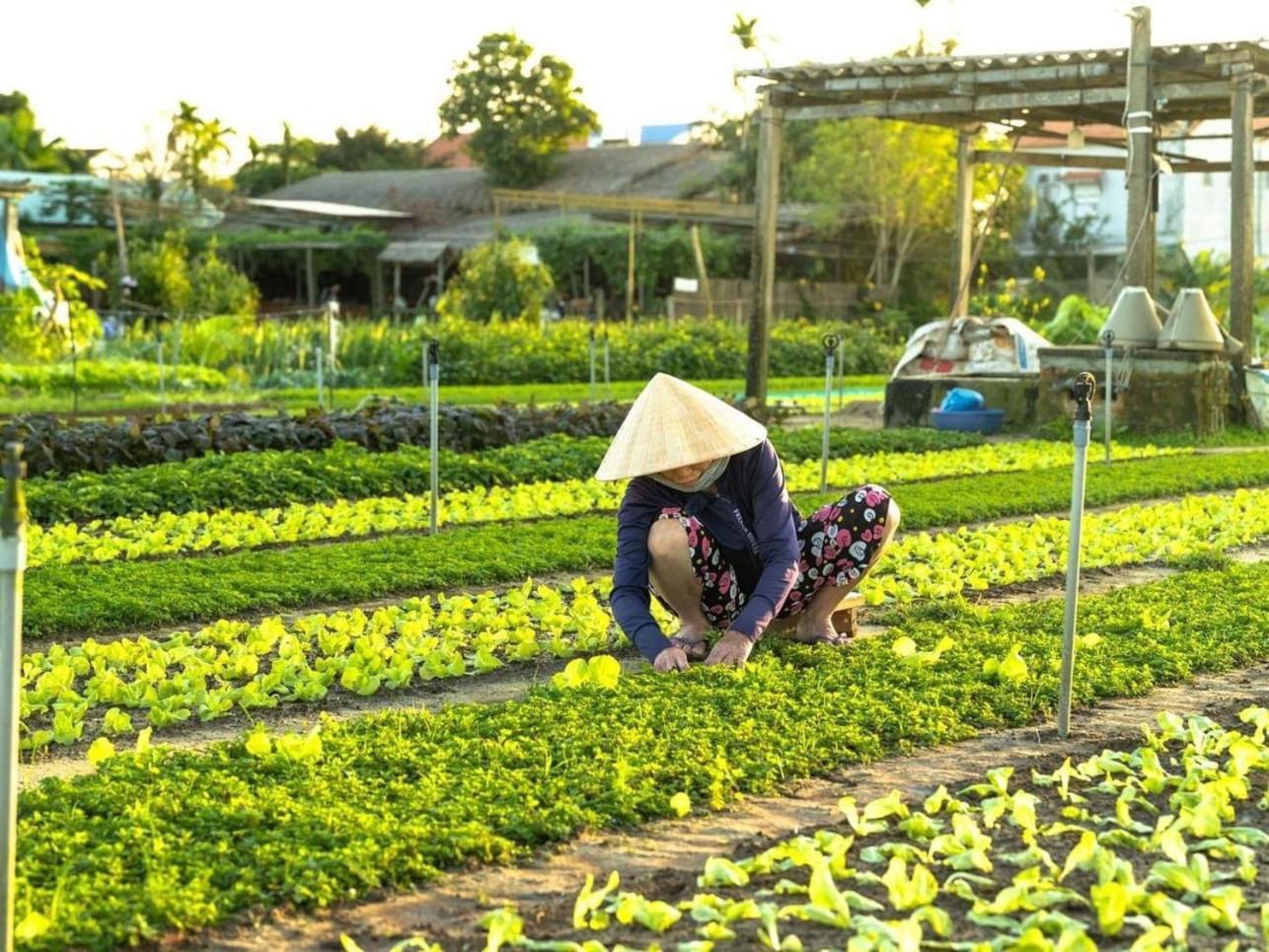 Apartamento Hoi An Cabbage Garden Exterior foto